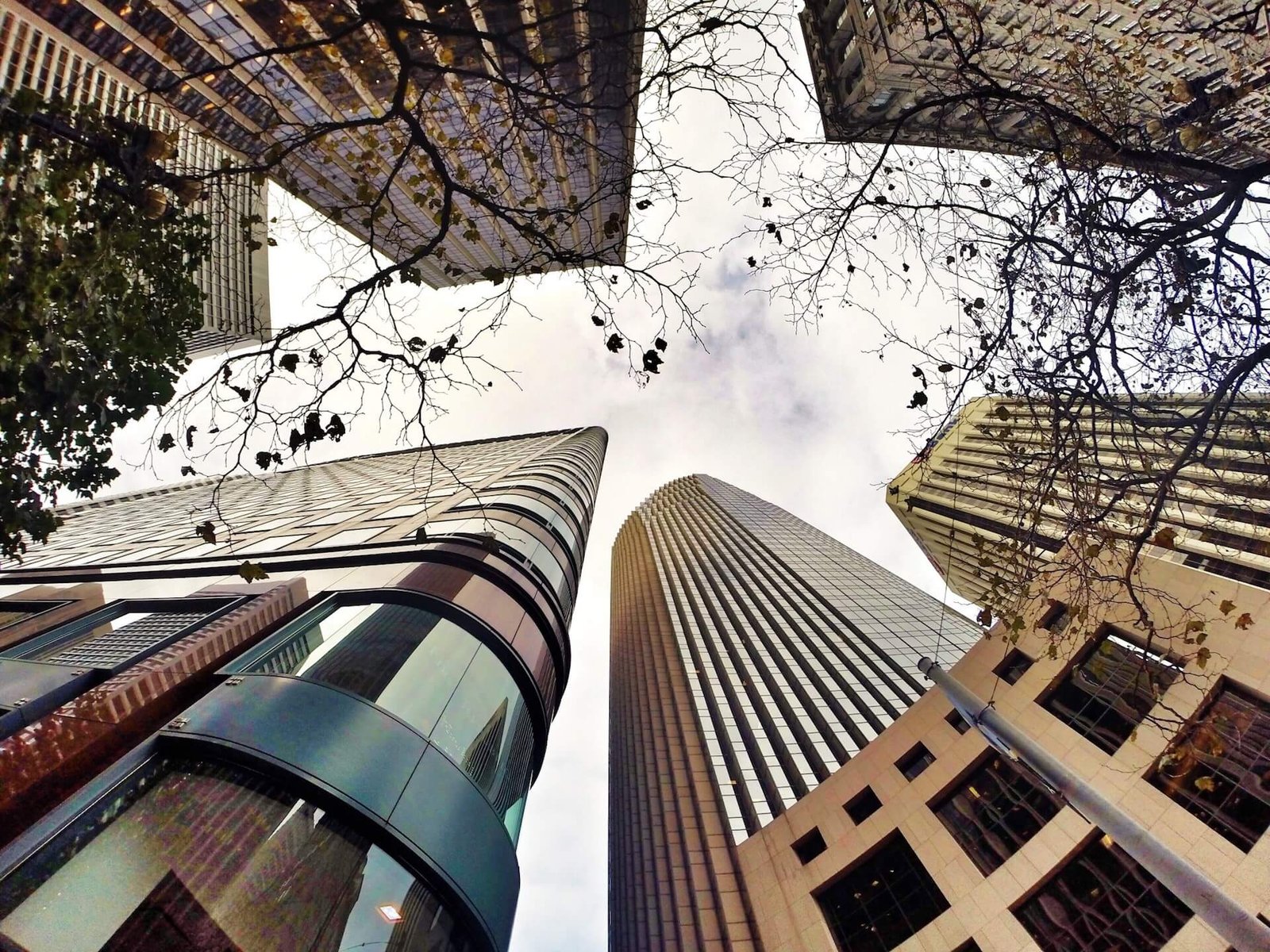 buildings-tower-above-san-francisco-ca_t20_LAnxkz.jpg